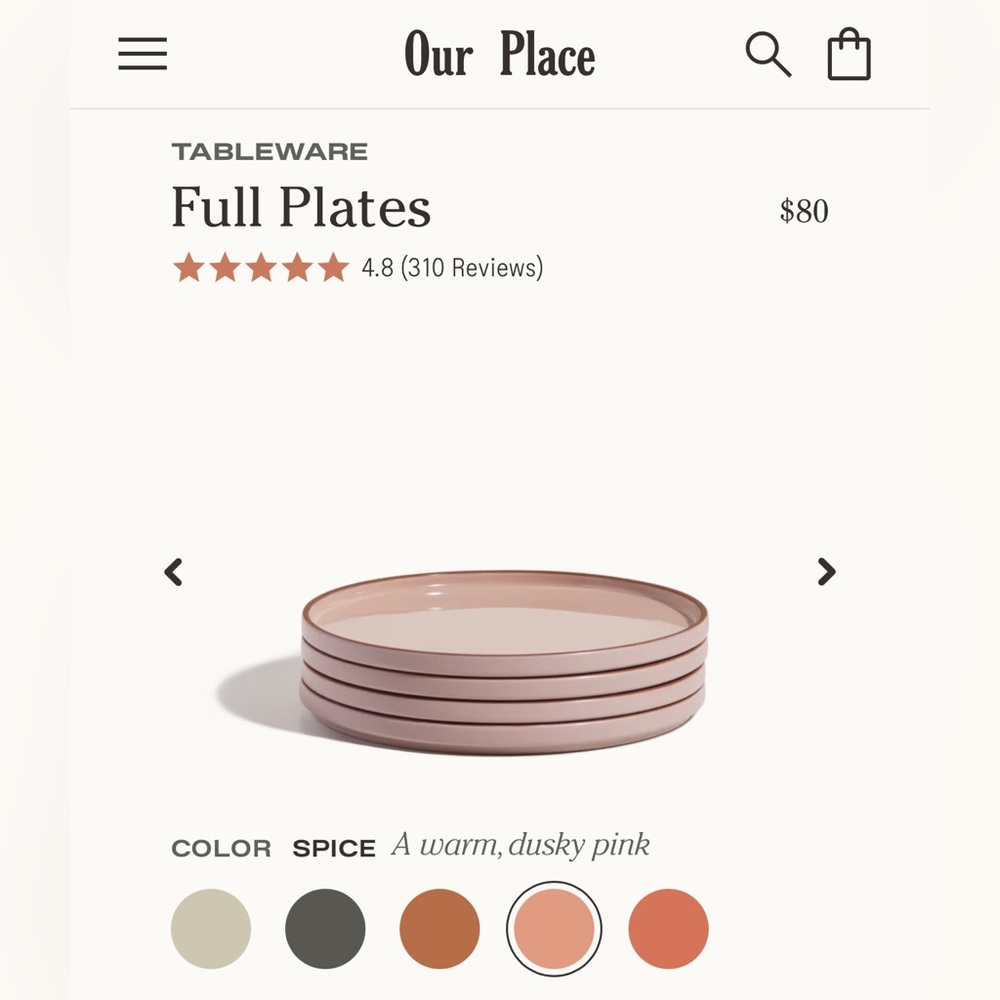 Set of 4 New Our Place Dinner Plates (4)